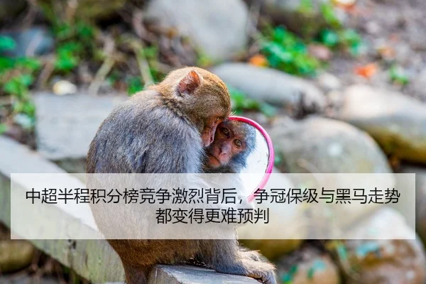 中超半程积分榜竞争激烈背后，争冠保级与黑马走势都变得更难预判